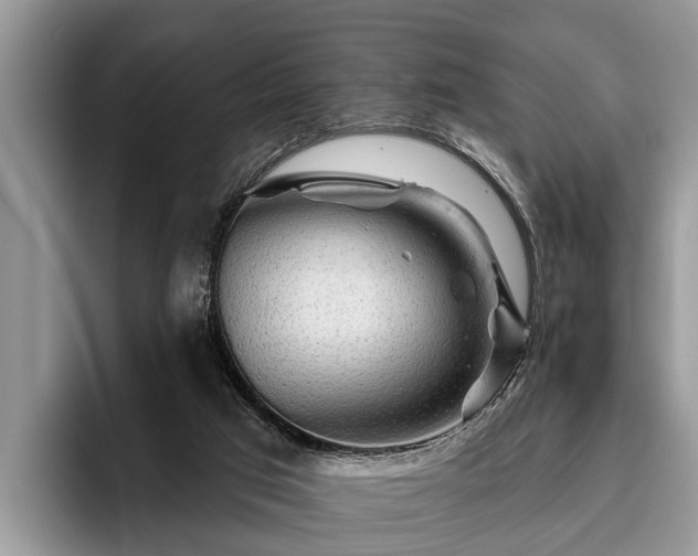 X0000095880017200801181215