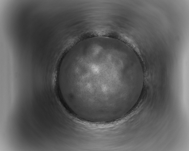 X0000095880018200801181215