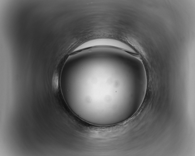 X0000095880021200801181215