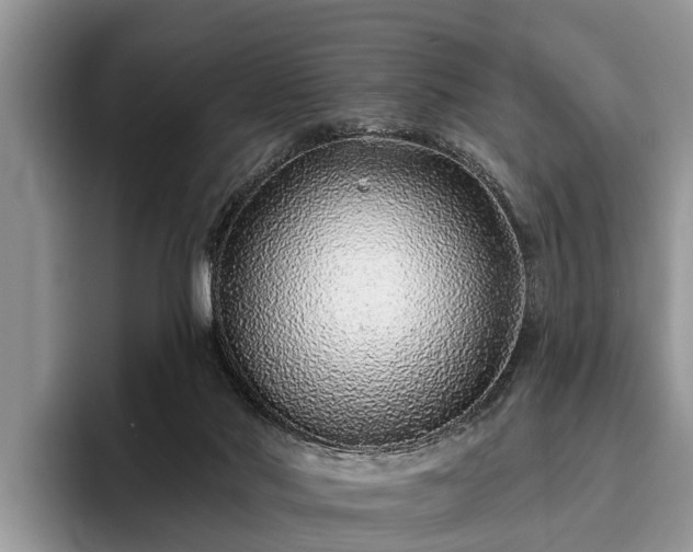 X0000095880022200801181214