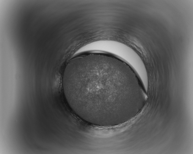 X0000095880029200801181214