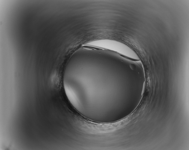 X0000095880031200801181214