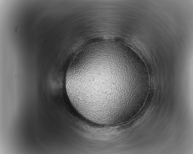 X0000095880032200801181214