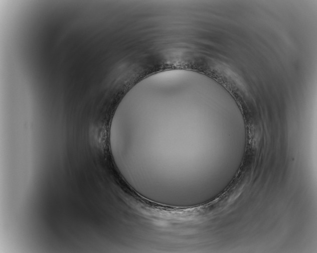 X0000095880036200801181214