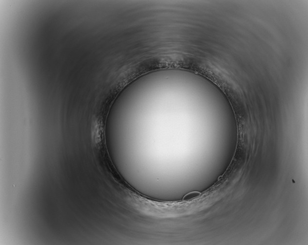 X0000095880038200801181214