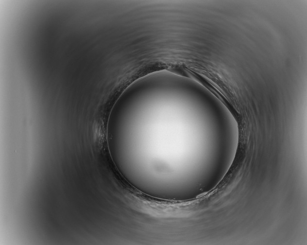 X0000095880040200801181214