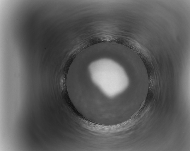 X0000095880043200801181214