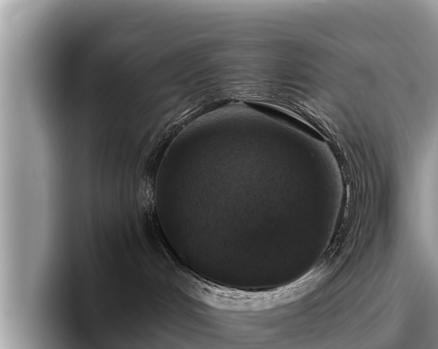 X0000095880048200801181214