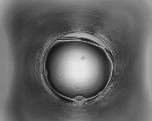 X0000095880049200801181214