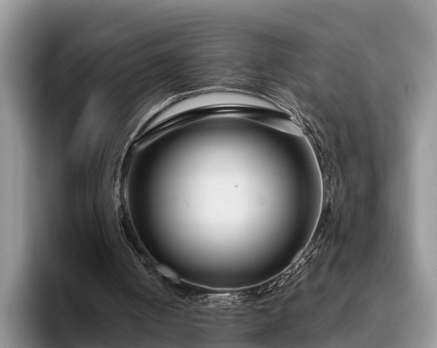 X0000095880050200801181214