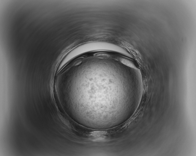 X0000095880051200801181214