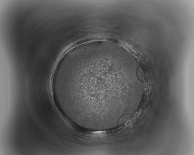 X0000095880053200801181214