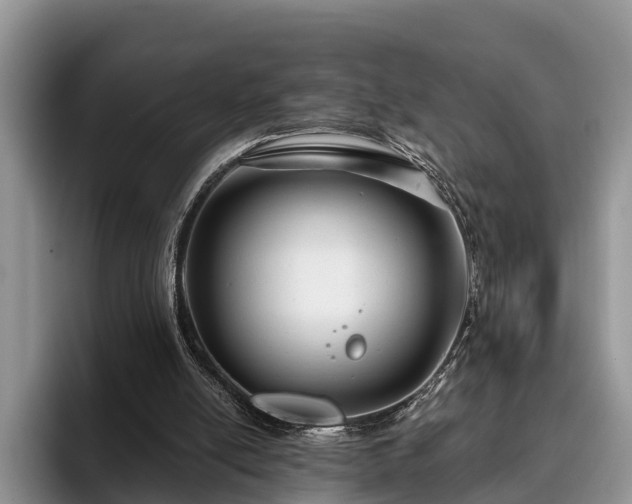 X0000095880054200801181214