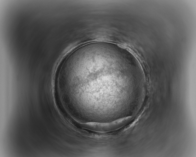 X0000095880055200801181214