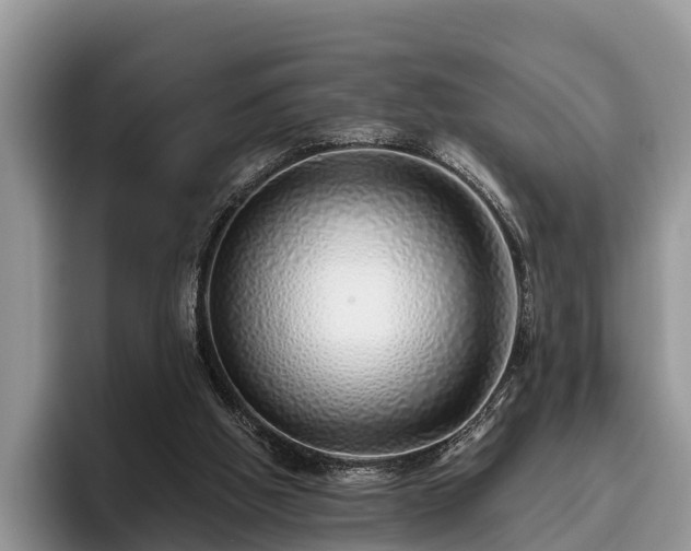 X0000095880058200801181214