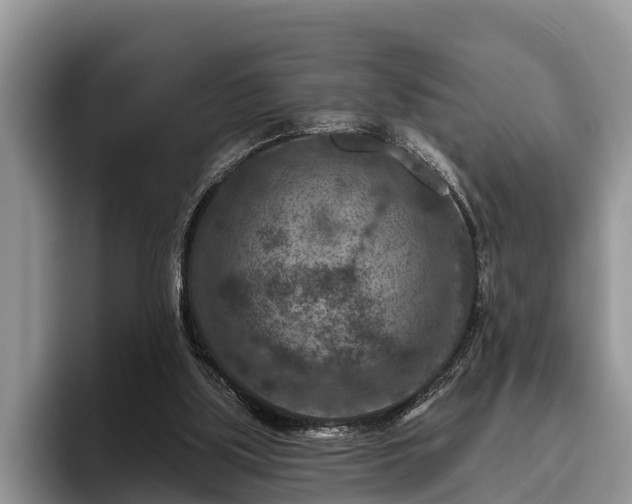 X0000095880059200801181214