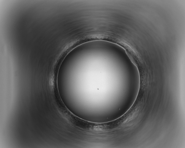 X0000095880064200801181214