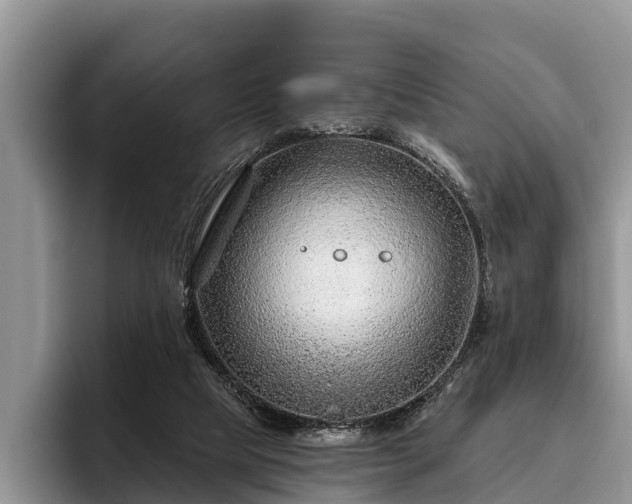 X0000095880065200801181214