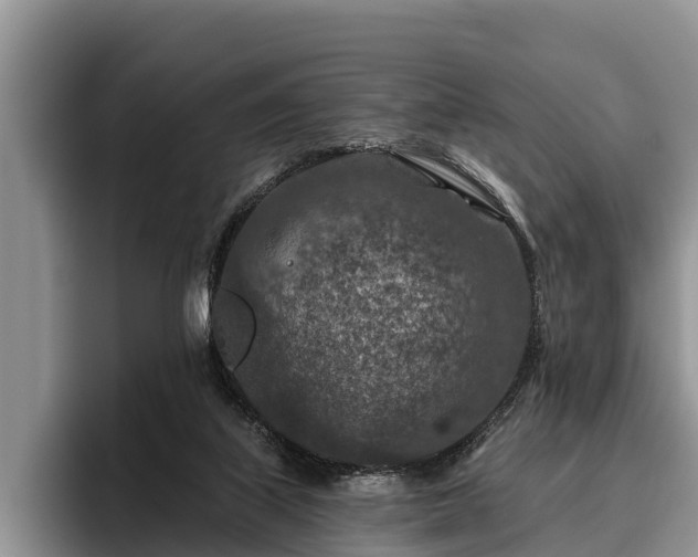 X0000095880067200801181214