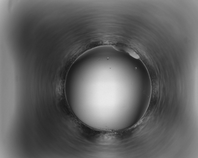 X0000095880078200801181214