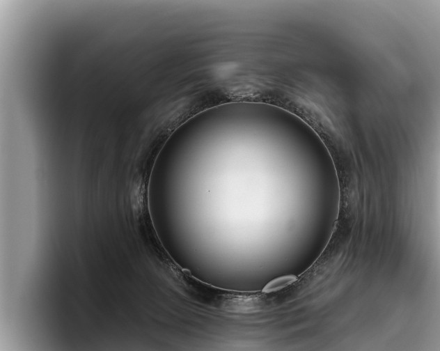 X0000095880081200801181214