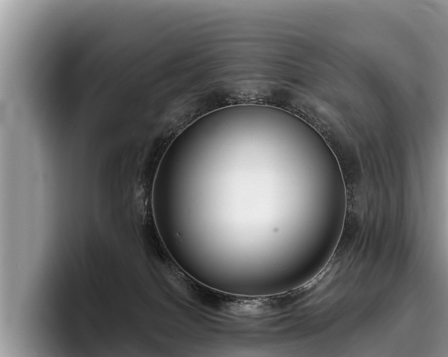 X0000095880086200801181214