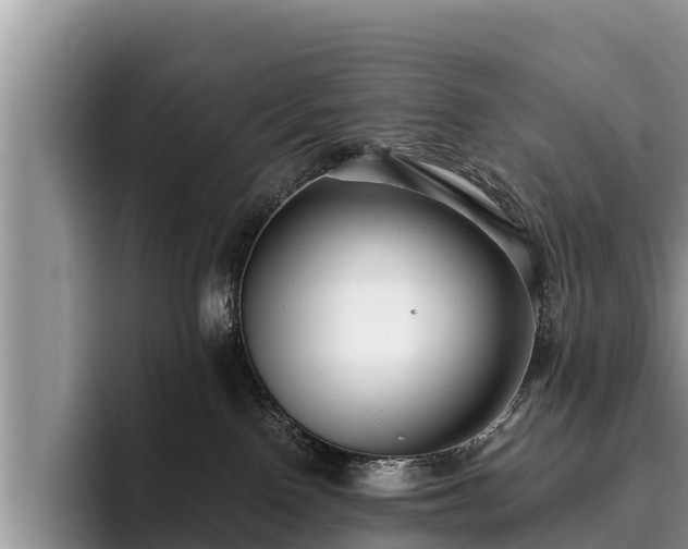 X0000095880090200801181214