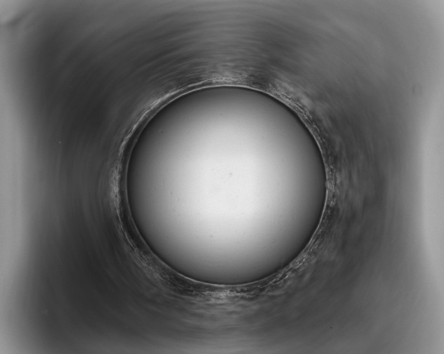 X0000095880098200801181214