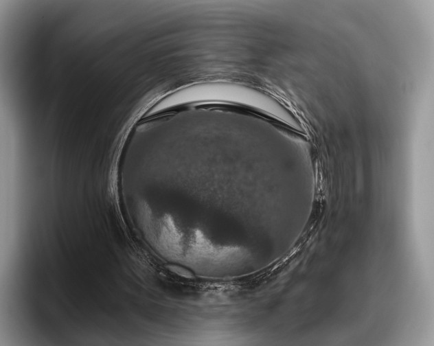 X0000095880099200801181213