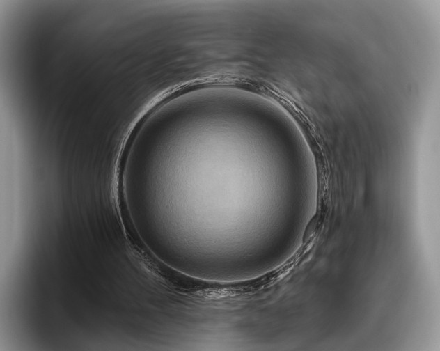 X0000095880100200801181213