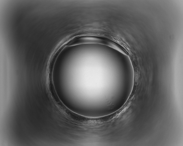 X0000095880101200801181213