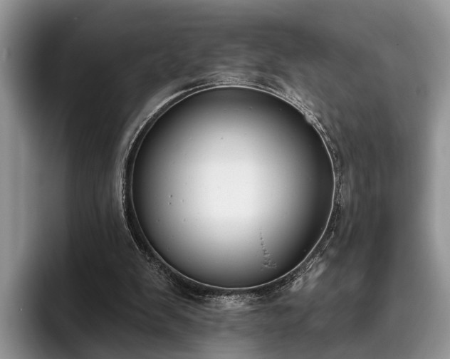 X0000095880103200801181213