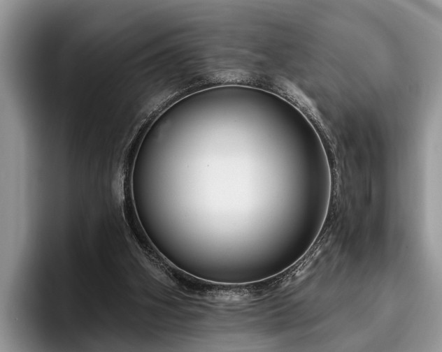 X0000095880106200801181213