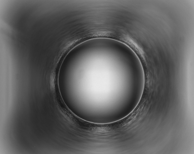 X0000095880107200801181213