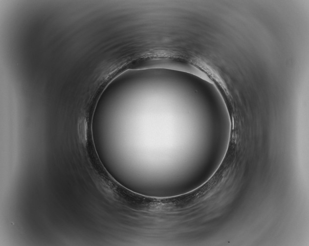 X0000095880109200801181213