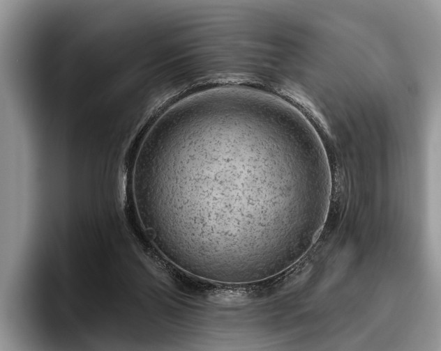 X0000095880110200801181213