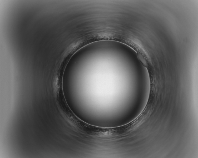 X0000095880116200801181213