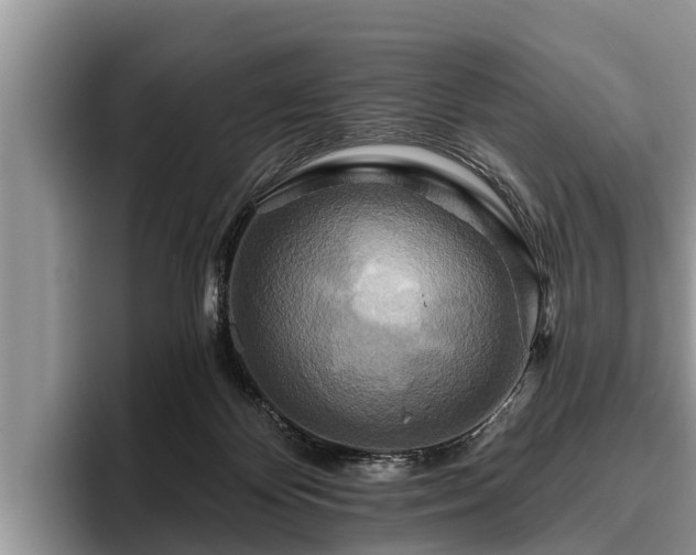 X0000095880124200801181213