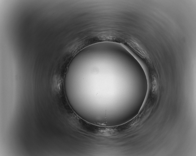 X0000095880125200801181213