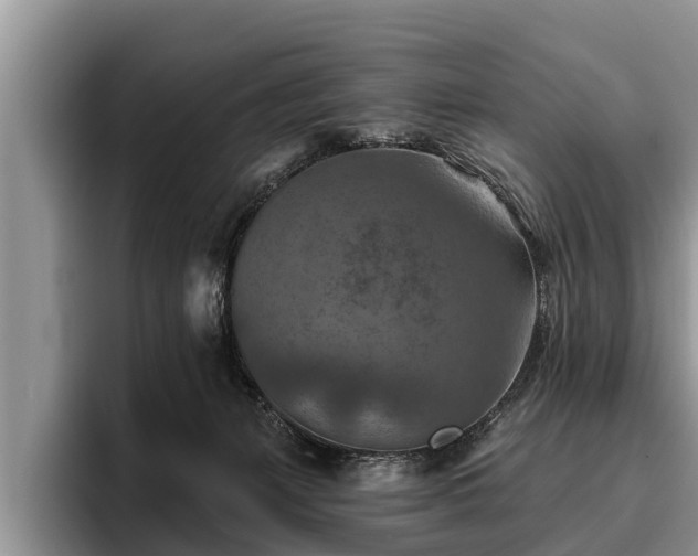 X0000095880127200801181213