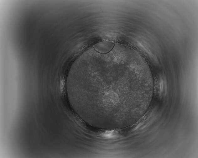 X0000095880130200801181213