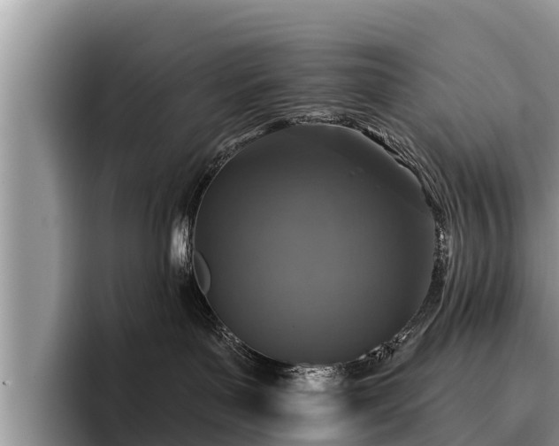 X0000095880143200801181213