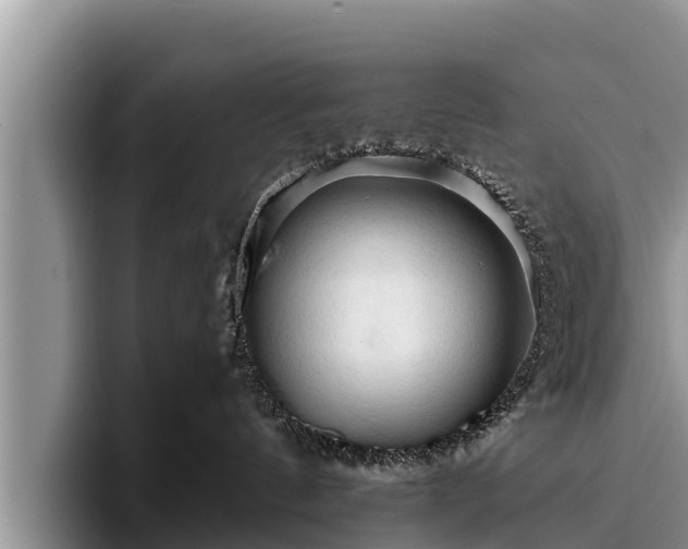 X0000095880144200801181213