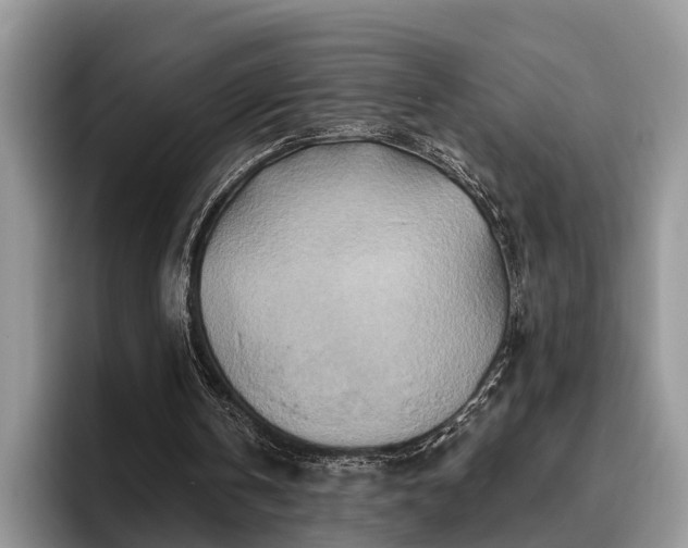 X0000095880146200801181212