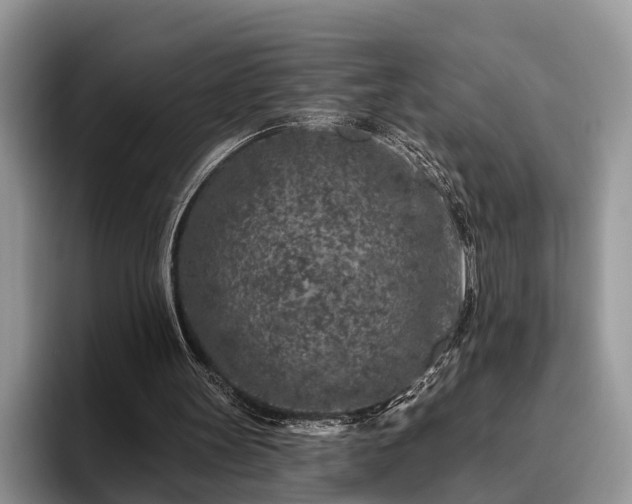 X0000095880147200801181212