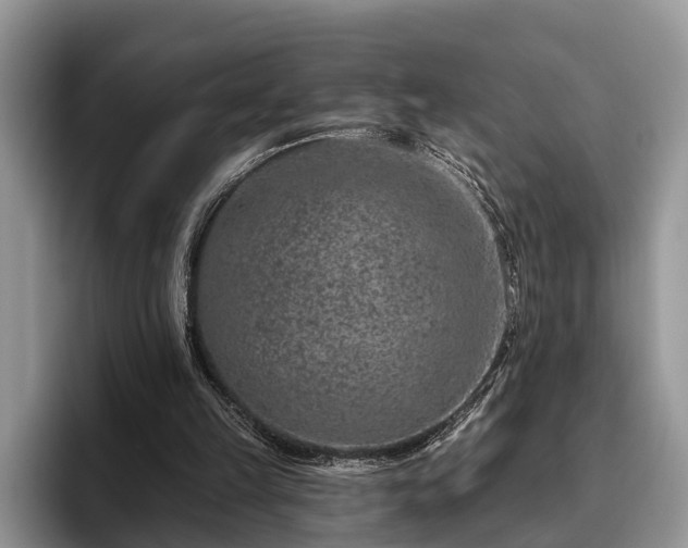 X0000095880149200801181212