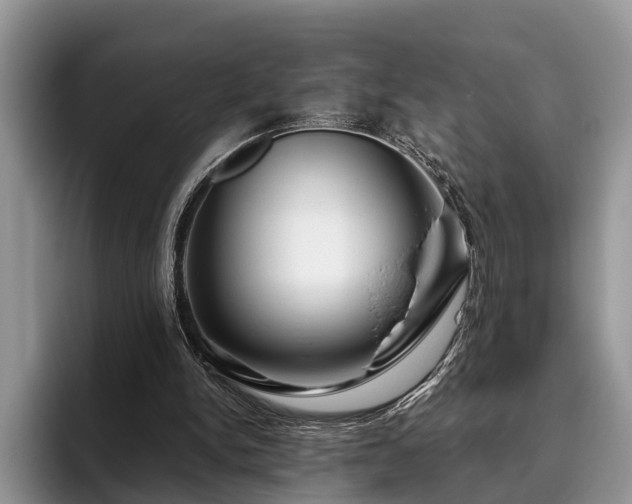 X0000095880150200801181212