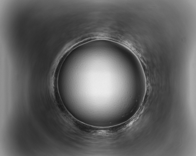 X0000095880151200801181212