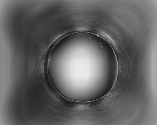 X0000095880155200801181212