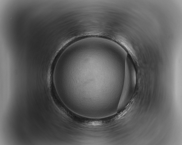 X0000095880156200801181212